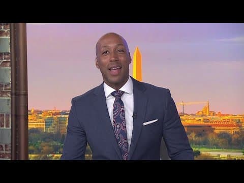 How long will you have to recycle your Christmas tree?