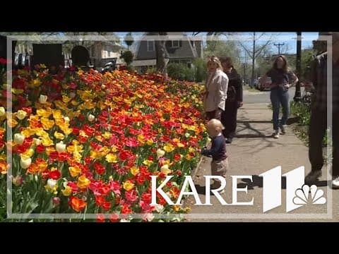 Owner of Minneapolis' famous 'Tulip House' dies