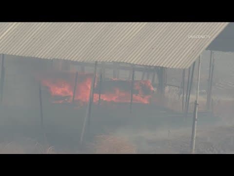 Wildfire Preparedness Week | What you need to know and do to be prepared