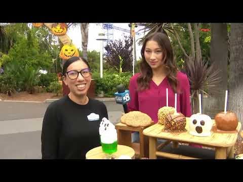 SeaWorld Spooktacular getting into the Halloween spirit