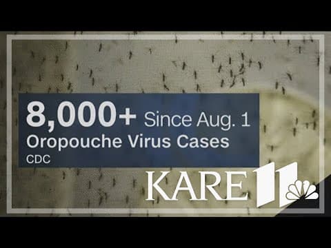 CDC sounding the alarm on mosquito-borne oropouche virus
