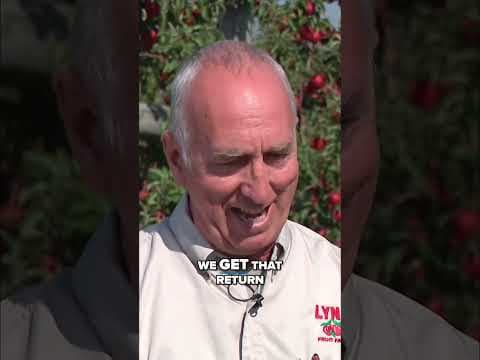Co-owner of Lynd Fruit Farm details how apple thefts are impacting the business
