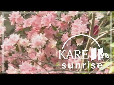 Achoo! Allergy season worsens with climate change