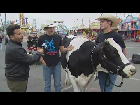 Agriculture, livestock showcased at County Fair
