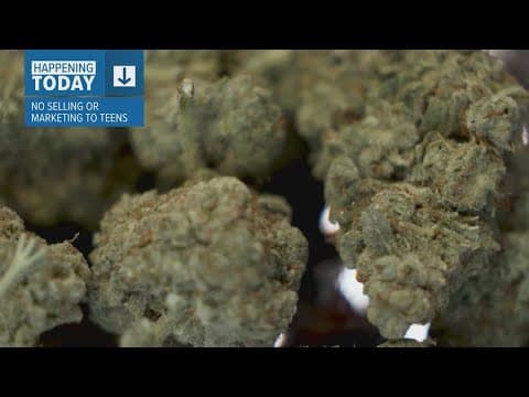 Legislature proposes revised ban on THC products