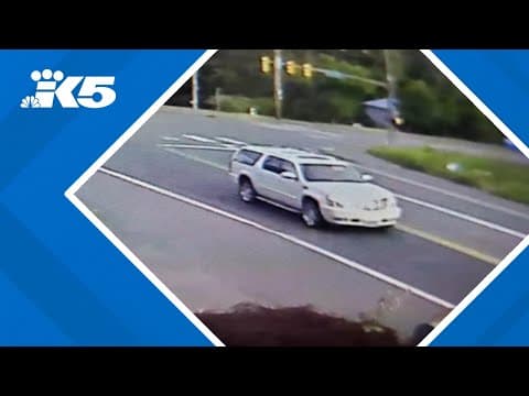 Family seeks public's help in identifying driver who hit 64-year-old woman crossing the street
