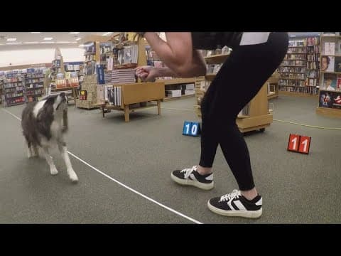 Dog sets balancing record in Virginia bookstore