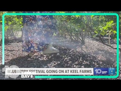 Annual Blueberry Festival at Keel Farms