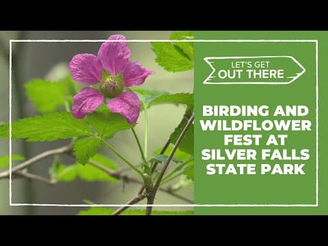 Silver Falls State Park Mother's Day Birding and Wildflower Festival underway