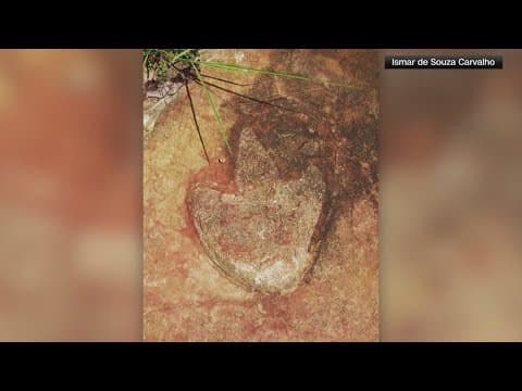 SMU paleontologist finds dino prints on both sides of Atlantic