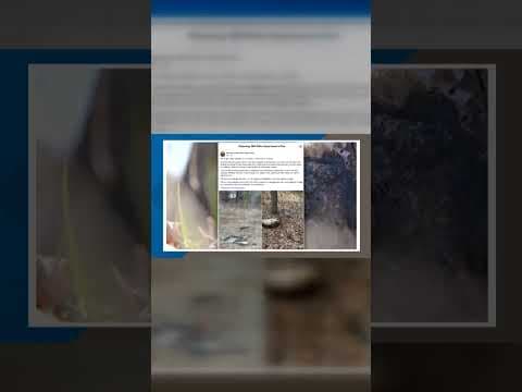 Wyoming, Minnesota Police are searching for whoever is dumping the dead fish.