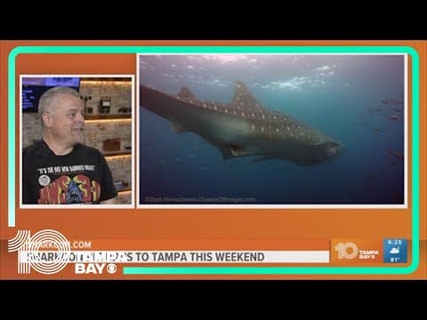 SharkCon returns to Tampa this weekend