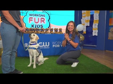 CBS 8 and Rady Children’s Working Fur Kids Give-A-Thon helps raise funds for Rady Children's Residen