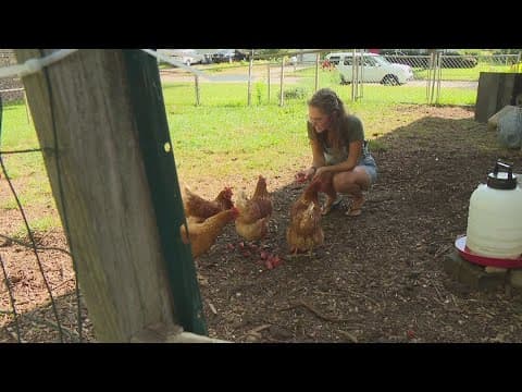 Bargersville town council makes ruling in chicken dispute