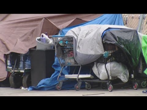 Lawmakers push for statewide camping ban modeled after San Diego ordinance