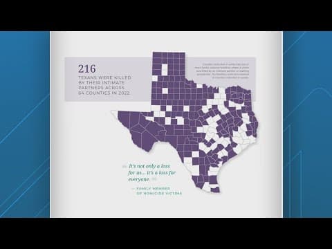 Harris County led Texas with most deadly domestic violence incidents in 2022