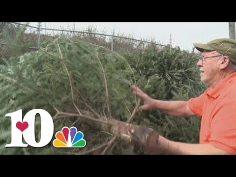 Where to recycle your Christmas trees in Knox County