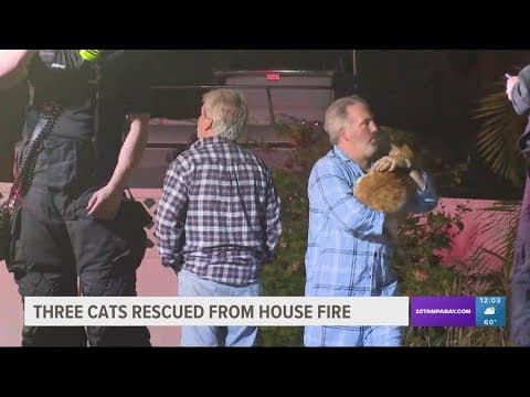 3 cats rescued from Tarpon Springs home fire