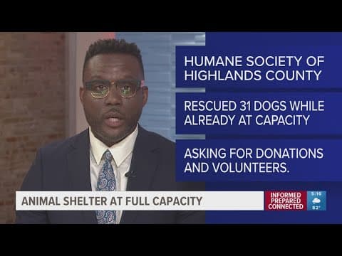 Highlands County animal shelter takes in 31 dogs even at full capacity