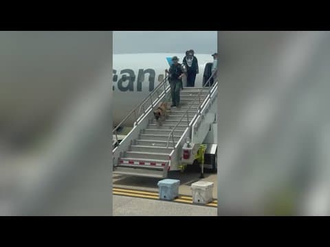 DFW Airport ground stop issued after 'possible security issue' on plane