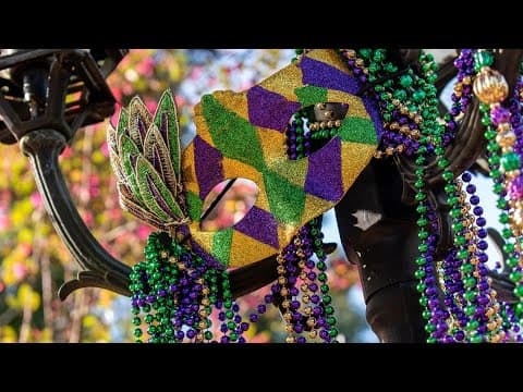 Live New Orleans Mardi Gras parade: Krewe of Pygmalion
