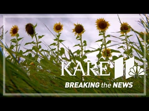 'I don't know what to do': Impact of federal farm grant freeze