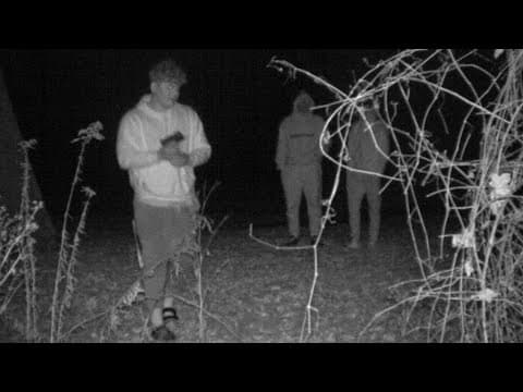 Hilliard police searching for 3 suspects accused of firing shots into home