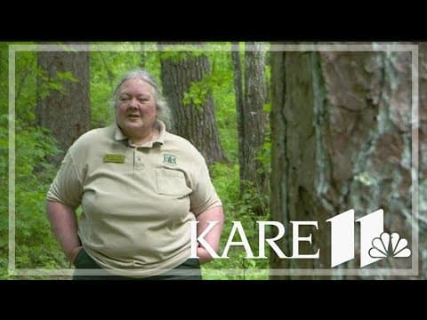 EarthKARE: 'The Lost 40' in northern Minnesota