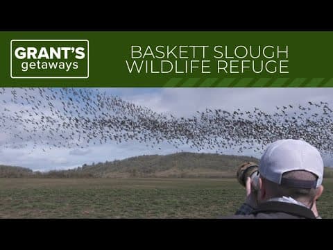 Photographer hunts geese with his camera at Baskett Slough Wildlife Refuge