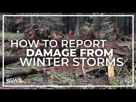 Portland property owners and tenants can report damage from recent storms. Here's how
