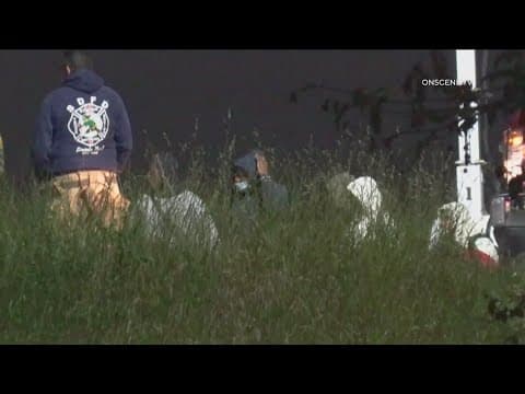 88 people detained after attempting to cross U.S.-Mexico Border illegally