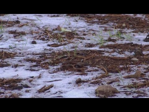 Frigid temperatures blanket the southern U.S. as severe weather rips through region