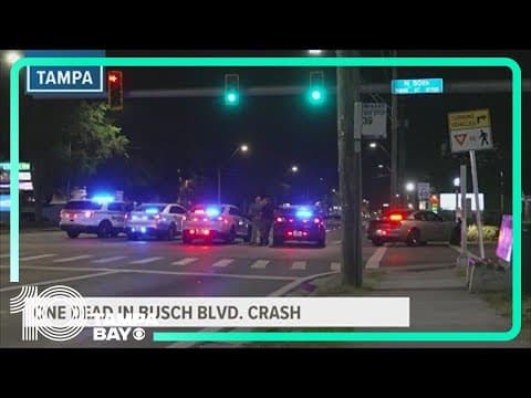 Tampa police arrest man accused of leaving deadly hit-and-run scene