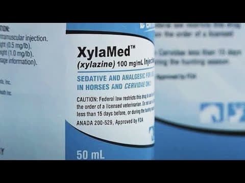 East Tennessee sees drop in xylazine overdoses in 2025, experts say