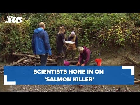 Local scientists hone in on 'salmon killer'