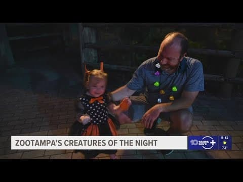 Get into the Halloween spirit at ZooTampa's Creatures of the Night