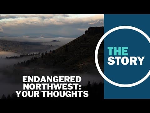 Takeaways from 50 years of the Endangered Species Act | Your Thoughts