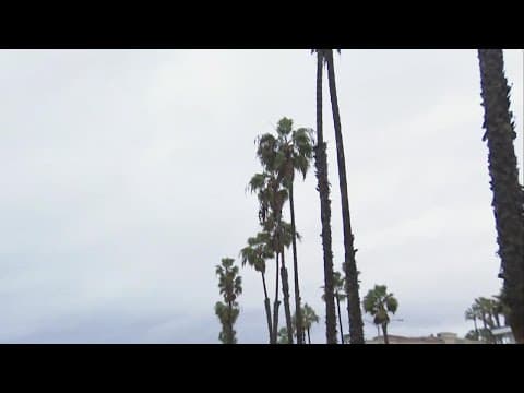 San Diego Storm | Widespread rain, wind across the county starting Tuesday