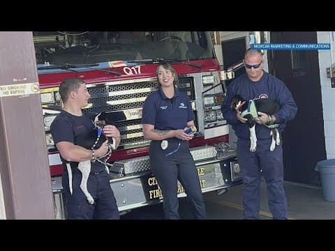 Two Knoxville fire stations install microchip scanners to help reunite lost pets