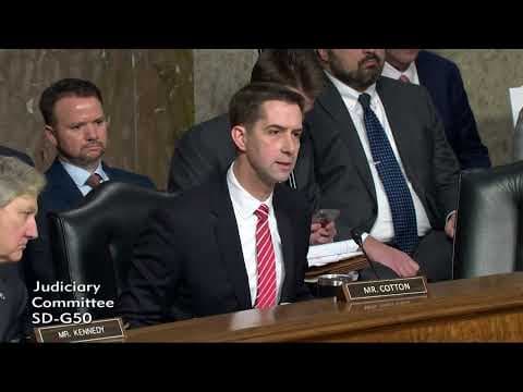 Senator grills TikTok CEO about ties to China