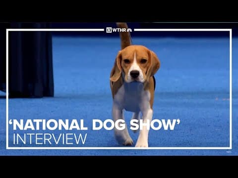 'The National Dog Show' co-hosts preview 23rd annual Thanksgiving telecast on NBC