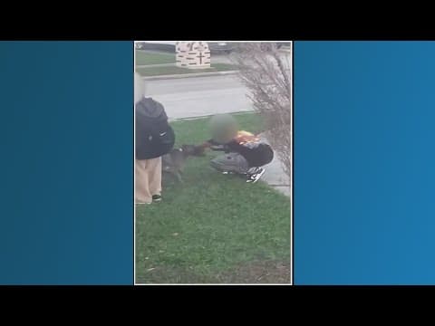 Boy gets 14 stitches after being attacked by dog at bus stop