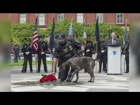 San Diego Police dog 'Sir' killed in line of duty will be honored at national memorial service