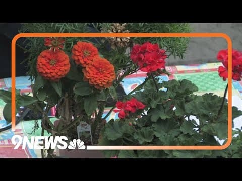 Ellen Becker explains what you could be seeing in your summer garden