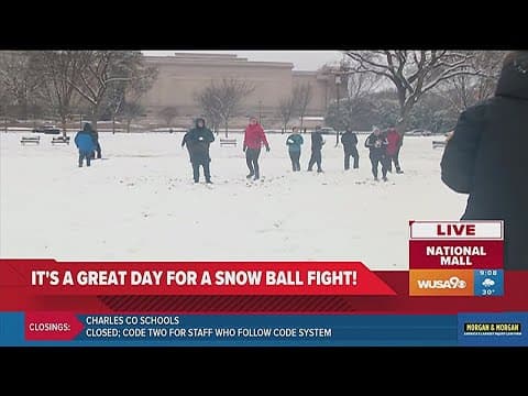 Snowball fight on the National Mall
