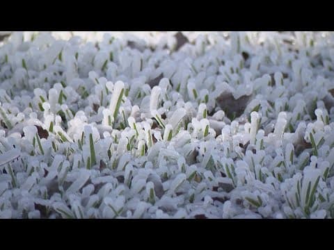 Natural gas outage reported in Magnolia area as freezing temps continue