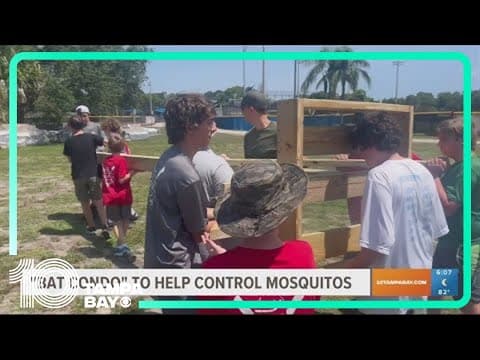 'Bat condo' constructed to help control mosquito population