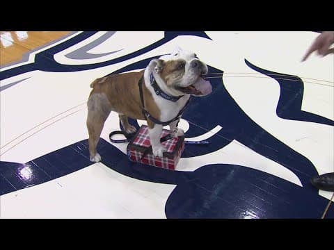 Butler Blue III, a.k.a. 'Trip' dies at age 12