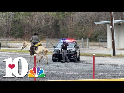 'This is like Grand Theft Auto': Kentucky man tries to evade police on a mule