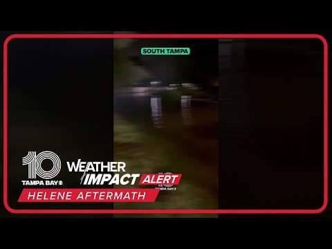 Video shows bugs floating in flood waters during #Helene impacts #10tampabay #tampabay